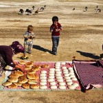 İnsan ve Yaşam Osman ZOR