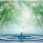 Bir Araba Üretiminde Kullanılan Su 