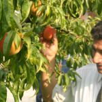 Eski  Sakarya Valisi Nuri OKUTAN’a  Tebrik