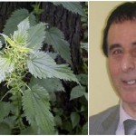 Beden ve Vücut Temizliği