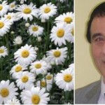 Sakarya da çiçekler çiçek açıyor