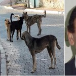 Kotrolsüz Varlıklar