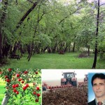 TOPRAĞIN SIGORTASI , BITKI ORTUSU , AĞAÇ