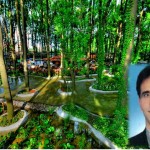 BİTKİ ÖRTÜSÜNÜ GÜÇLENDİRME