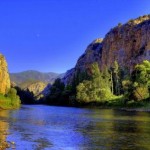 SAKARYA MARKASI ALTIN AKAN NEHİR