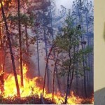 Elektrik Sıçrayarak Yanan Ormanlar Doğal Yaşamı Yok Ediyor