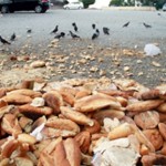 Hergün -6 –Milyon Ekmek Çöpe Gidiyorsa