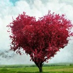 DÜNYADA- SEVGİYE KAVUŞUNCA- SEVGİ BİTER 