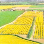 Tövbe Tövbe Esteğfürüllah  Tesbıh Çekme