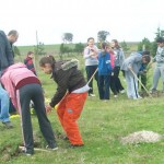 Her doğan kişi adına bir ağaç dikilecek