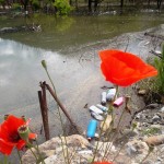 Sakarya  Nehrinin  adı  değiştirilerek  Sakarya  Gölü Oldu