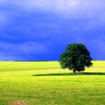 Ulaşım Yolları Yeşil Yeşil