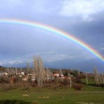 Sit alanı tamamen defineci ve Tarihi eser kaçakçılarının yağma alanına dönmüş