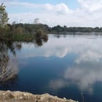 Kurban Hayvanları Başları bu kadar değersiz olamaz