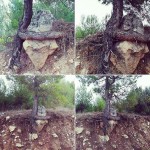 Taşa sarılan kazanıyor insana sarılan kaybediyor