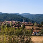 Pamukova Çilekli’de  Tarım Devrimi Başlıyor