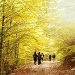 Sakarya ili köylüsü 30 yıl sonra Topraksız kalacak