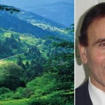 Kirliliğin Emilimi Yeşil Yeşil