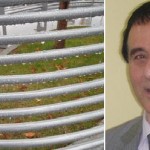 Ticari ve Kültürel Vizyon