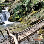 Beşiktaş Vadisi’nde Gece Yürüyüşü