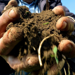 Sakarya Ziraat Odaları”Sakarya’nın Birinci Sınıf Topraklarındaki Talan Durdurulmalı”