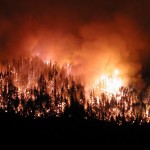 Orman Yangınlarını Önlemek İçin Alınacak Tedbirler