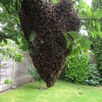 İSLAM DİNİNDE CAMİ YAPIMINDAKİ İSRAF…!