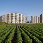 Osman ZOR  “Tarım Topraklarının Korunmasına seyirci kalamayız”